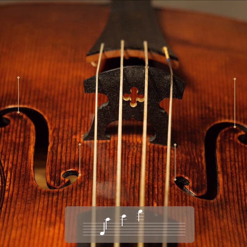 Thickness and arching calibrated for sonority and projection.