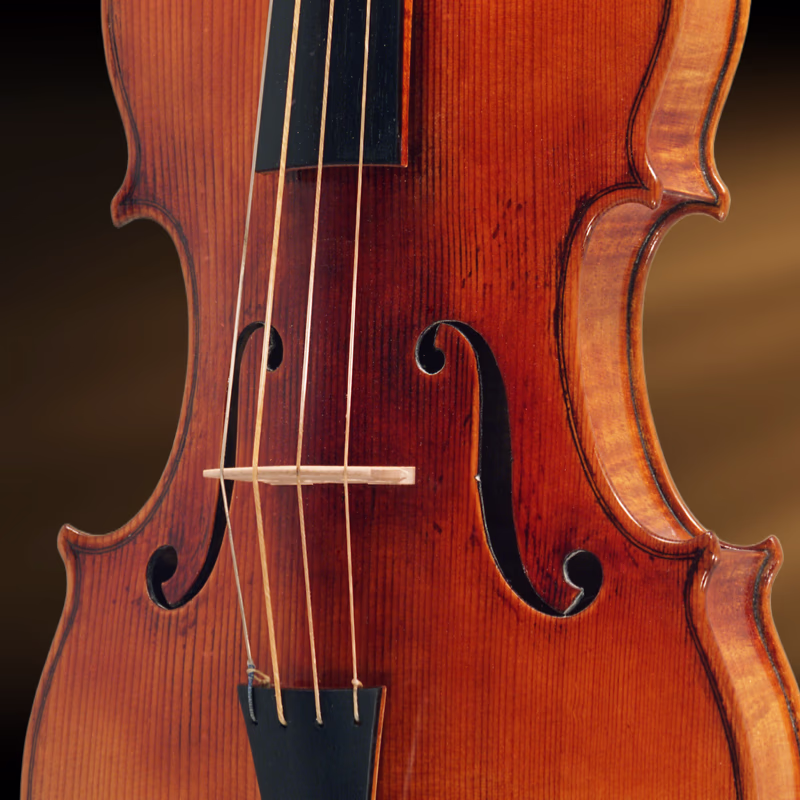 Classical at first glance, yet immediately different — proportions recalibrated without visual compromise.