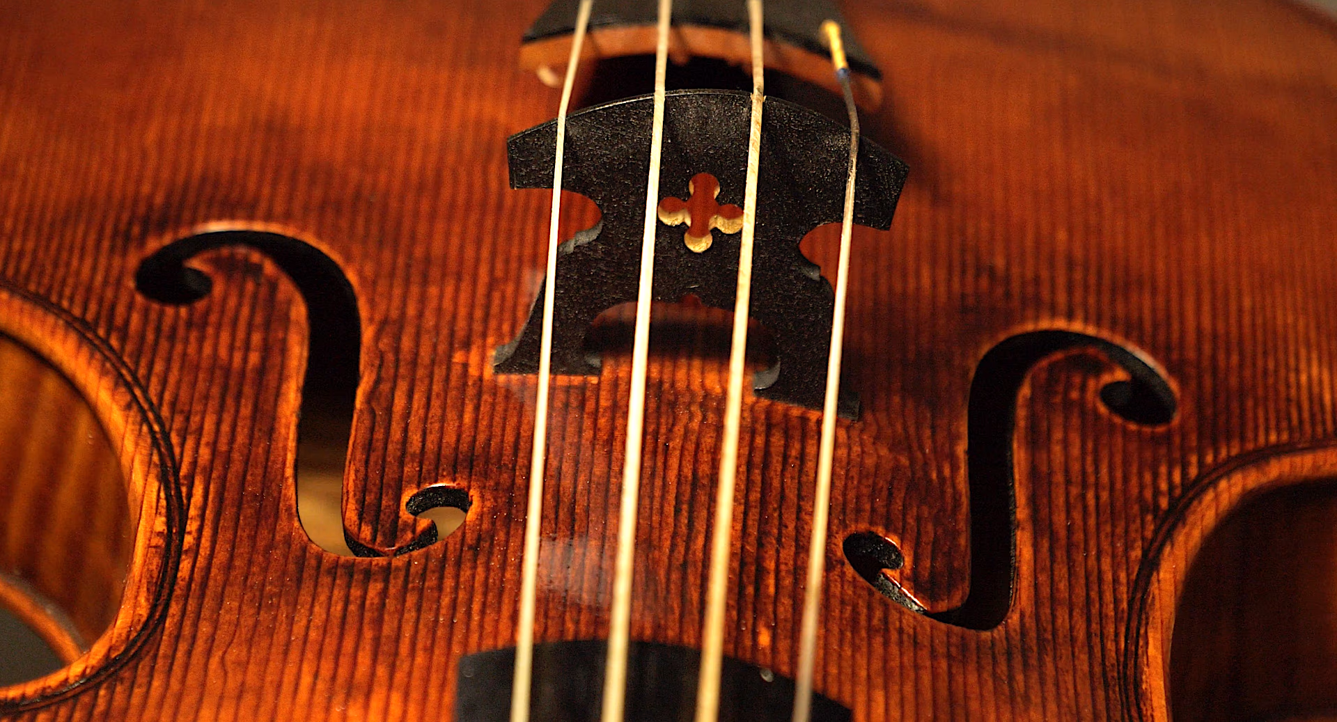 When a Voice Is Taken Away