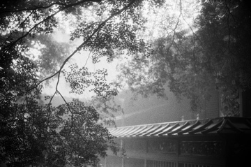Rain falling on the fence of a shrine