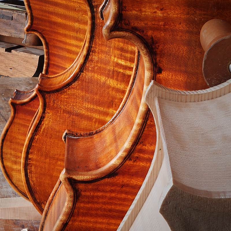 Violin, viola, violoncello da spalla and a cello sunbathing in the workshop