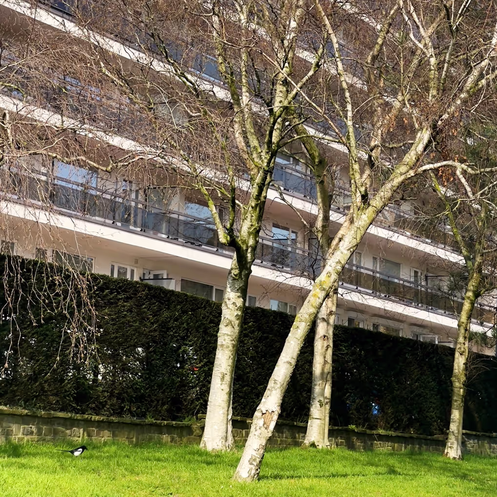 Brussels apartment building where the modern revival of the violoncello da spalla began in 2003–2004