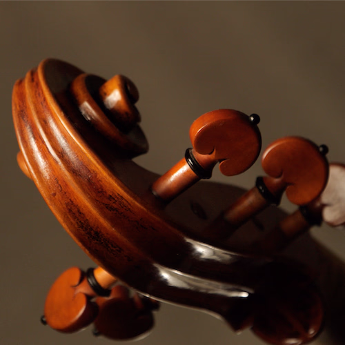 A darker violoncello da spalla model with greater power
