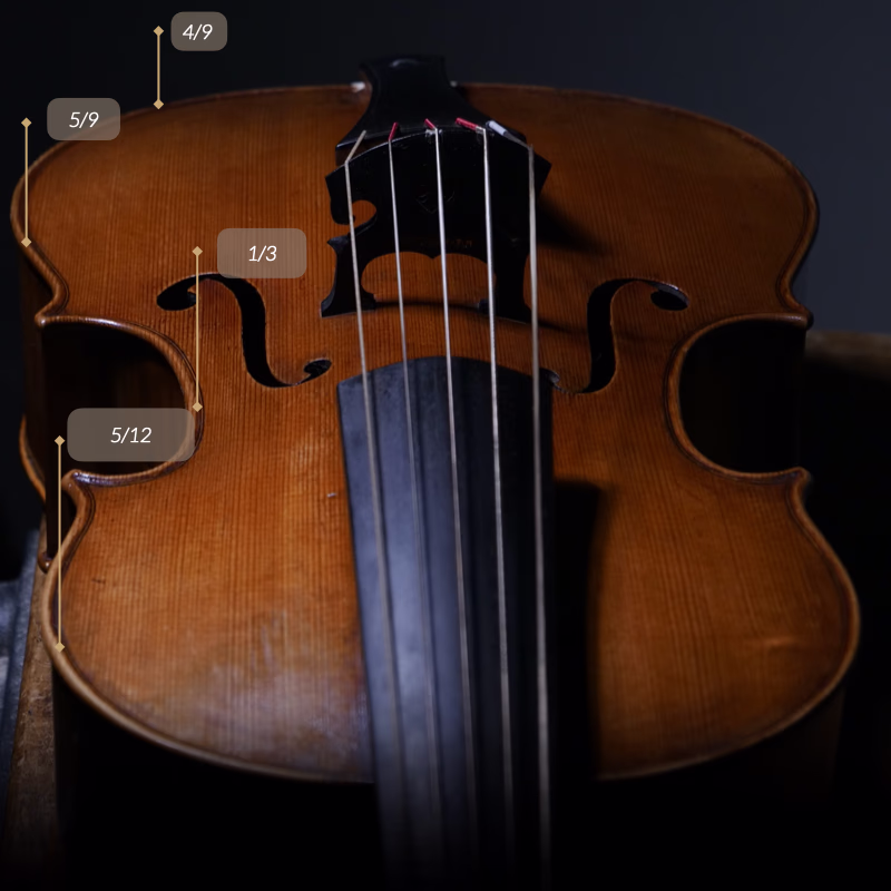 Early Badiarov violoncello da spalla model developed through collaboration with performers.